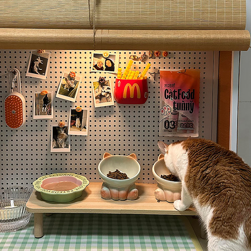 猫碗陶瓷高脚斜口保护颈椎猫食盆不易打翻大口径喝水防黑下巴猫粮