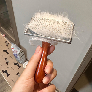 宠物梳子猫咪梳毛神器去浮毛狗狗双面排梳钉耙梳实木梳针梳蓬毛梳