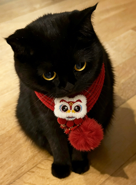 猫咪新年围脖狗狗围巾红色醒狮针织项圈冬季加厚保暖可爱拜年装饰