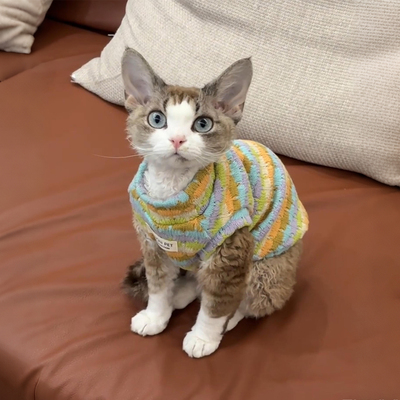 【萌宠OOTD】宠物条纹两脚衣