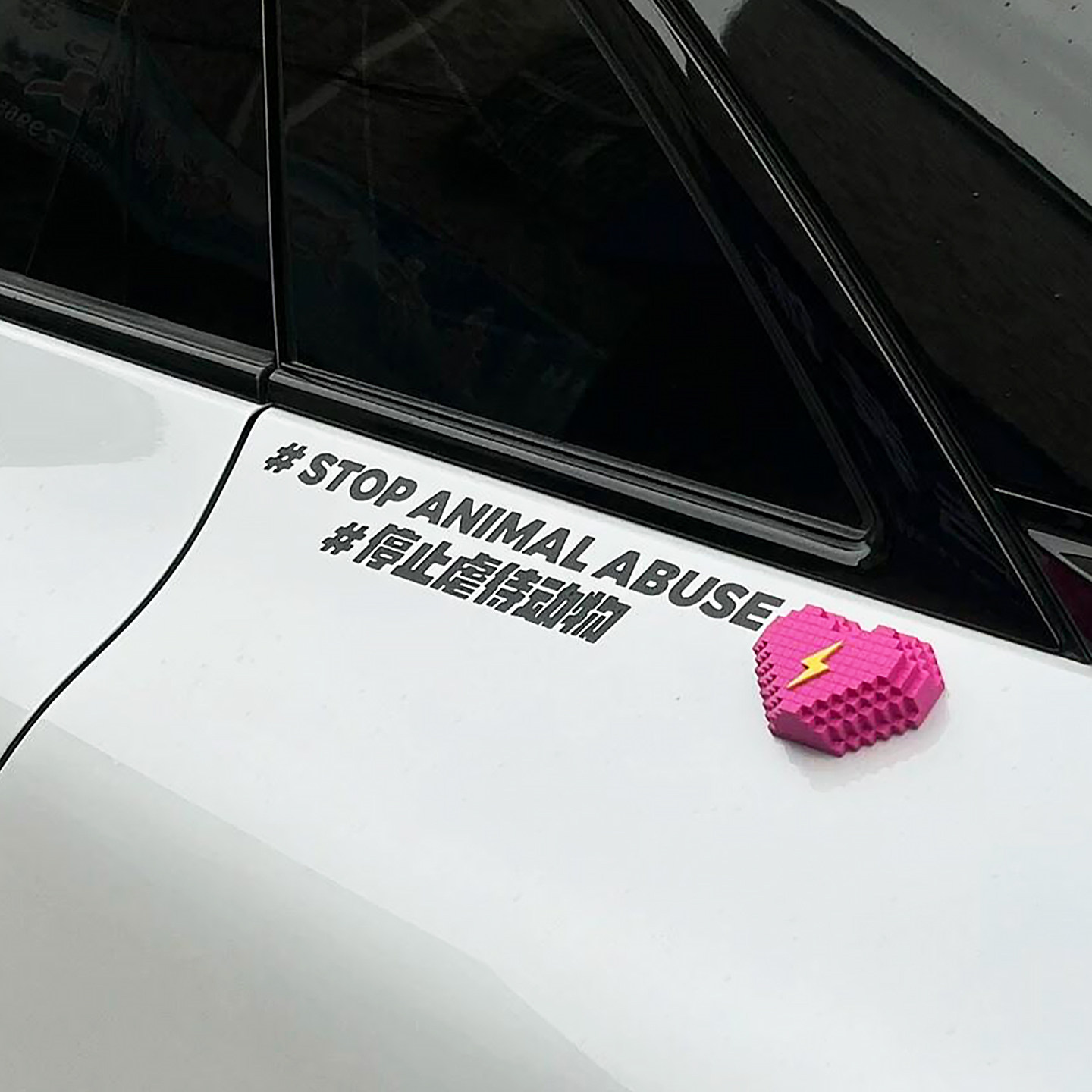 保护动物车贴！实用与爱心兼具！