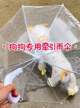 雨天遛狗神器！宠物雨伞牵引绳款