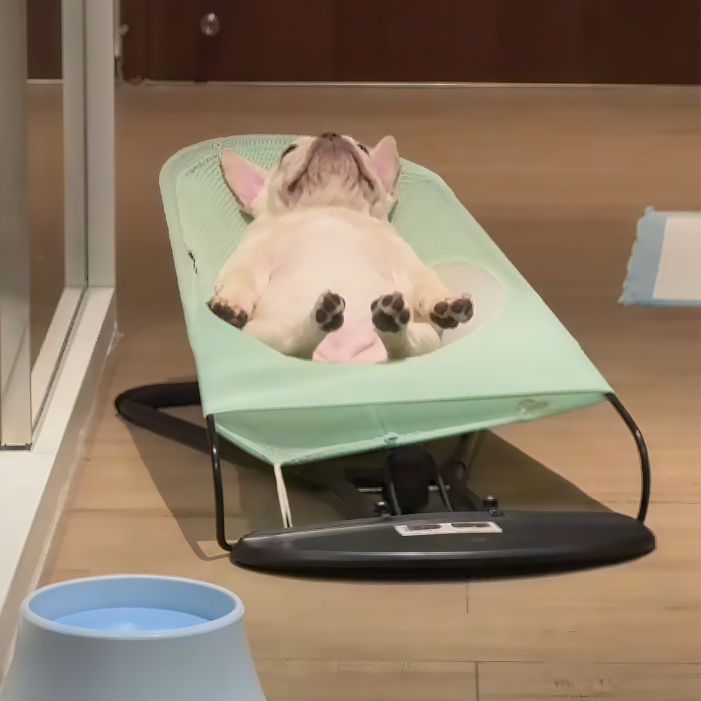 宠物狗狗摇摇椅猫咪床中小型犬法斗泰迪睡觉秋千防潮离地狗床躺椅,宠物/宠物食品及用品,猫狗床/躺椅,淘宝优惠券,粉丝福利购,淘宝优惠卷