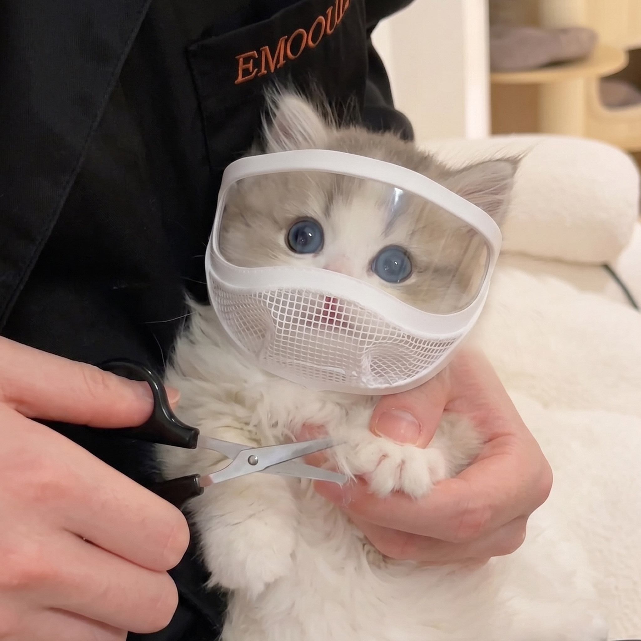 猫咪面罩防咬宠物嘴套剪指甲洗澡清洁工具小猫头套可调节眼罩透明