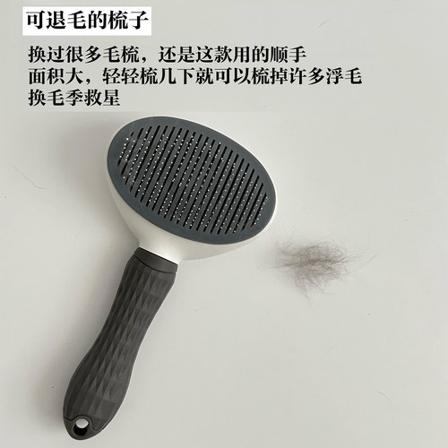 新手养宠好物！宠物梳子去浮毛