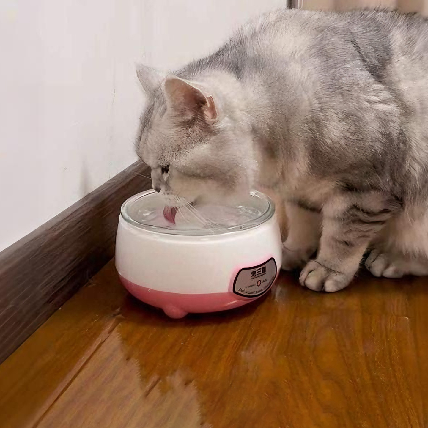 宠物恒温猫咪饮水机不锈钢喝水器