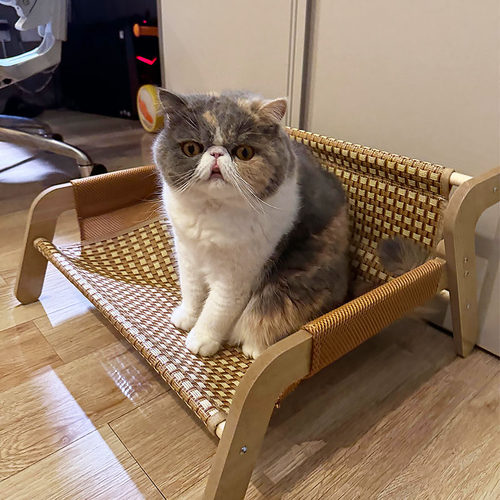 夏季凉席宠物沙发耐抓猫窝藤席