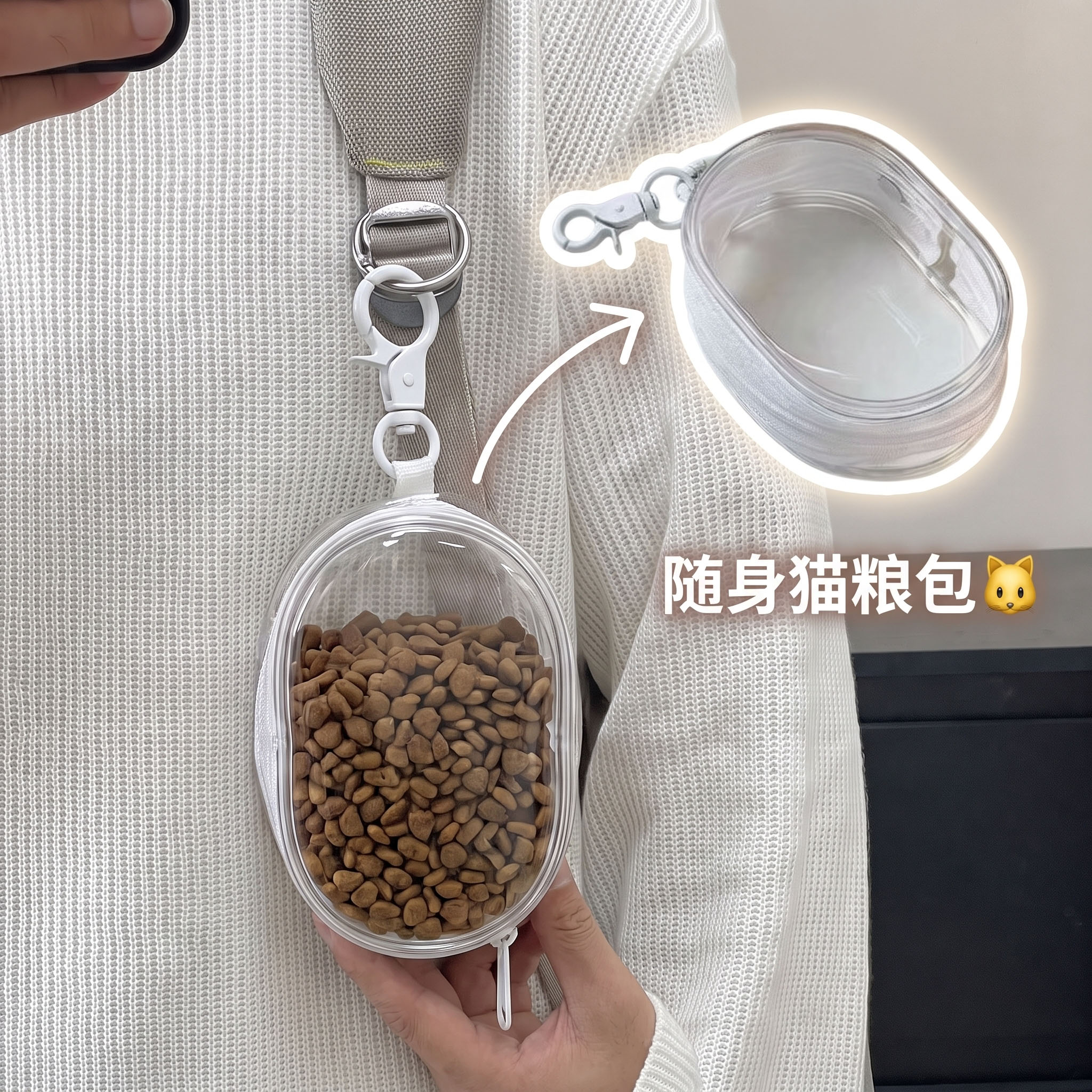 关爱流浪小猫！随时可喂！图片