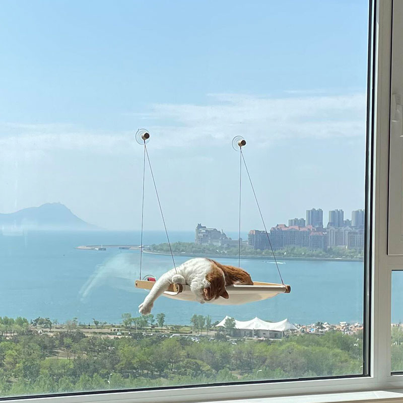 猫吊床猫咪猫窝吸盘晒太阳神器