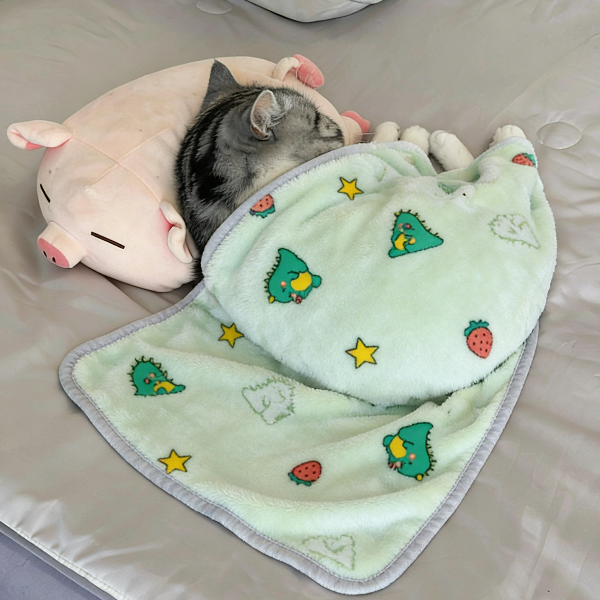 宠物毛毯冬季加厚珊瑚绒猫咪狗狗毯子可机洗不掉毛窝垫两用小被子,宠物/宠物食品及用品,猫狗垫子,淘宝优惠券,粉丝福利购,淘宝优惠卷