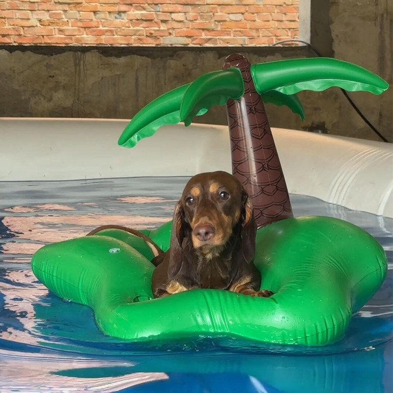 狗狗游泳圈宠物水上浮床中小型犬比熊泰迪户外便携椰子树充气床