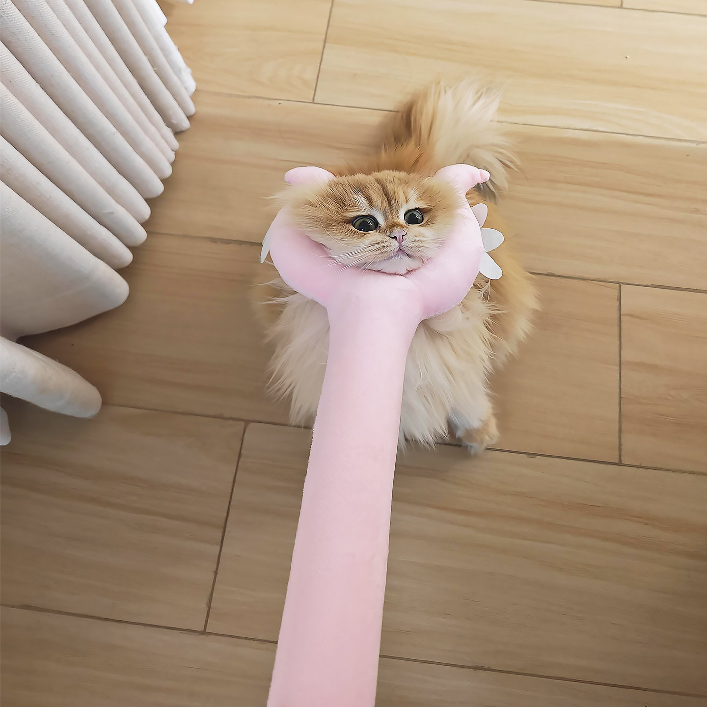 逗猫棒长杆质量好讨伐棒创意可爱宠物毛绒玩具叉子叉猫棒抓猫抓狗