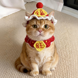 新年宠物狗狗衣服猫咪帽子围脖套装针织脖圈过年喜庆装扮拍照道具