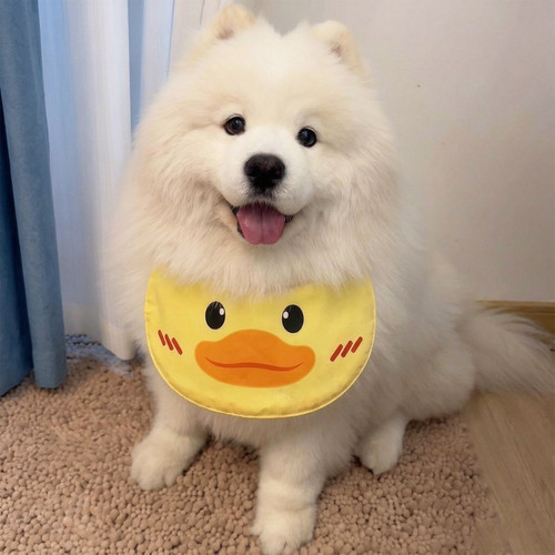 再也不怕胸毛脏脏！防水宠物围脖