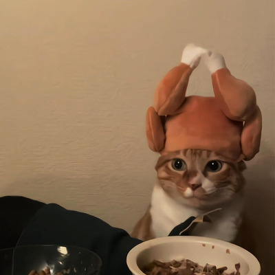 宠物猫咪头套鸡腿帽子拍照道具