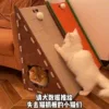 Товары от 猫仨狗四
