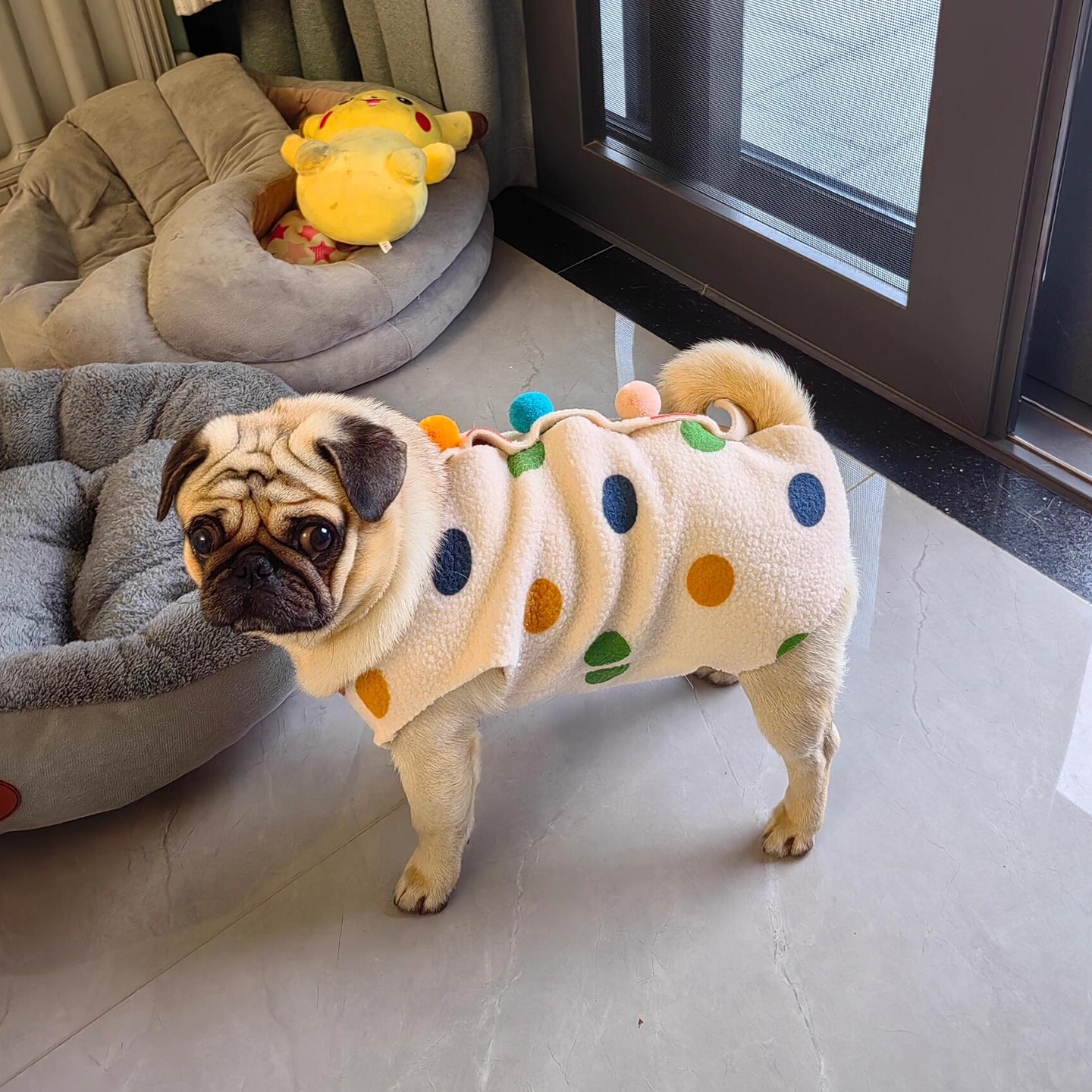 【宠物冬日OOTD】波点马甲外套