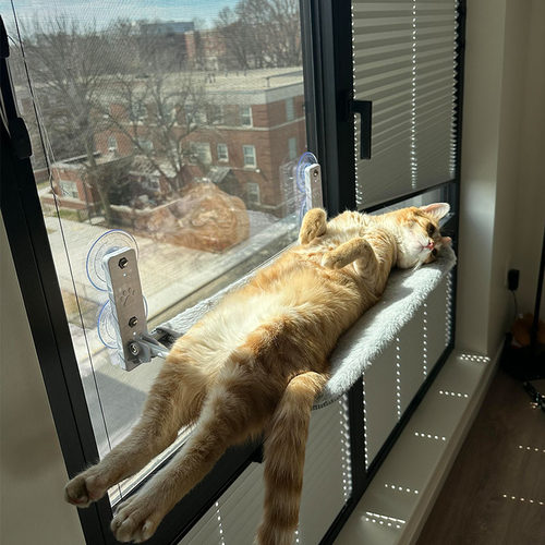 吸盘猫吊床猫窝阳台晒太阳神器