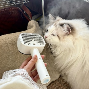 猫咪梳毛梳子喷雾梳狗狗排梳针梳去浮毛开结神器宠物美容清洁用品