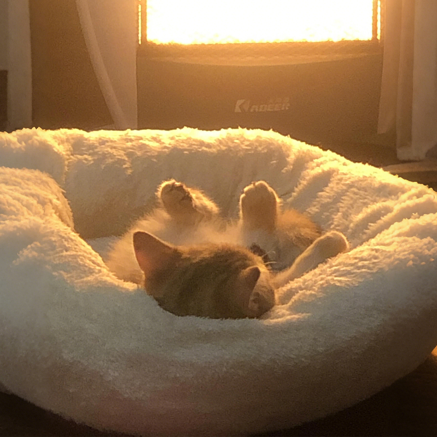 宠物圆形猫窝冬加厚猫咪睡窝垫子