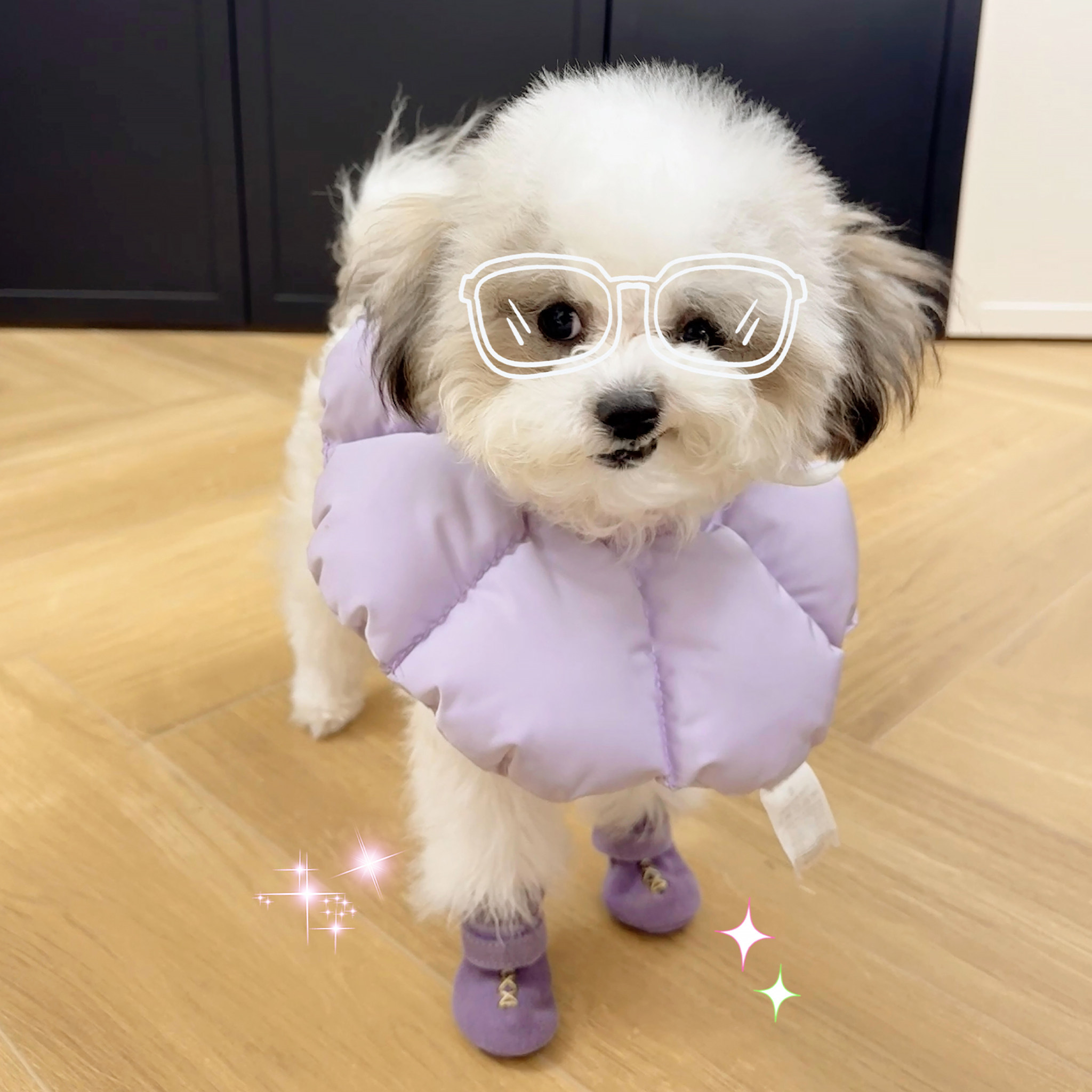 花朵伊丽莎白圈猫狗软圈宠物项圈绝育术后防舔头套脖圈颈圈小型犬,宠物/宠物食品及用品,宠物伊丽莎白圈,淘宝优惠券,粉丝福利购,淘宝优惠卷