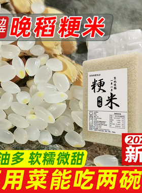 东北延边大米正宗晚稻粳米新米一级5kg梗米珍珠米真空煮粥熬米油