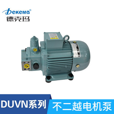 厂家直销不二越系列电机泵 2HP4H+DUVN电机泵组1HP/2HP/3HP电机