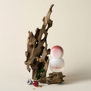 天然多孔沉木造景拍照摆件木头拍摄道具树枝装 饰静物产品摄影背景