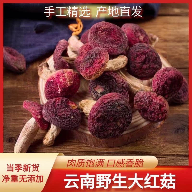 正宗红菇干货野生云南大红菌