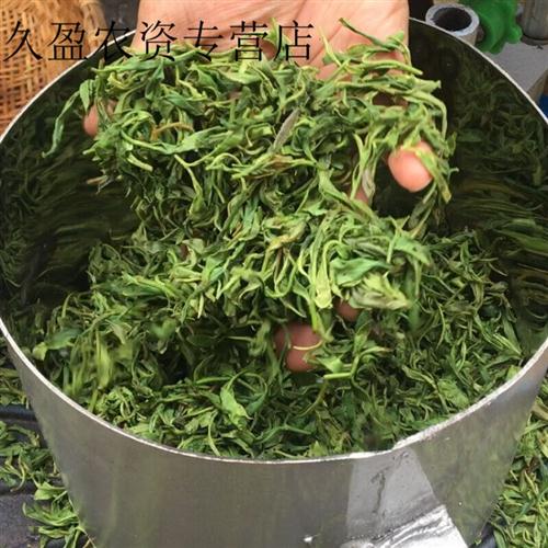 电动不锈钢揉茶机家用小型茶揉捻机全自动揉茶树叶机手动叶揉捻茶