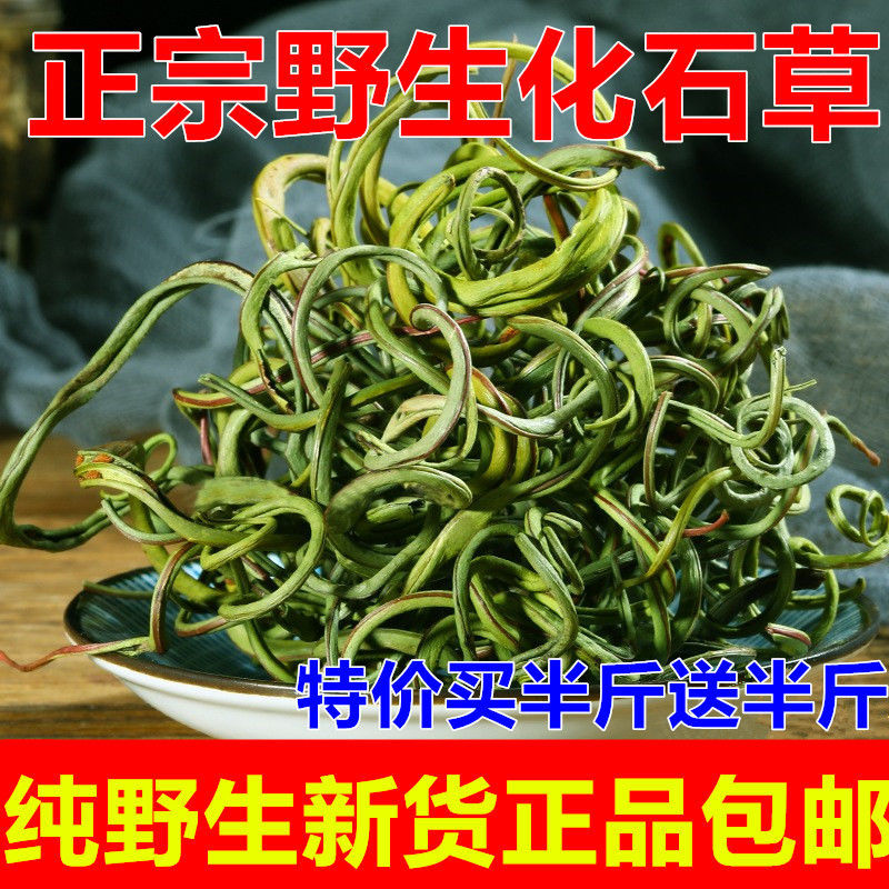 云南小叶化石草野生石韦中药长白山肾精茶店正品非特级