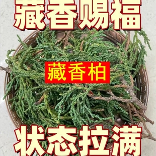 正宗西藏藏香柏枝叶藏地树枝净宅养水晶养文玩家用天然香柏叶