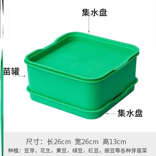 豆芽发芽盆神器豆芽罐子家用生豆芽机无公害发豆芽桶黄豆绿豆芽盒