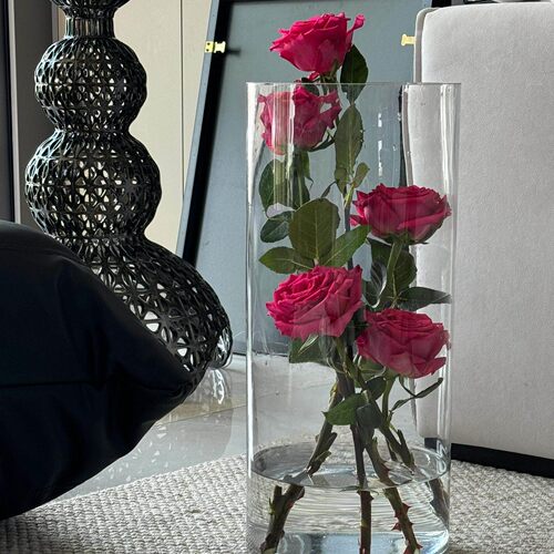 立减5元ins透明亚克力插花花瓶