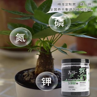 发财树肥料专用肥家用缓释肥招财树幸福树金钱树通用复合肥有机肥