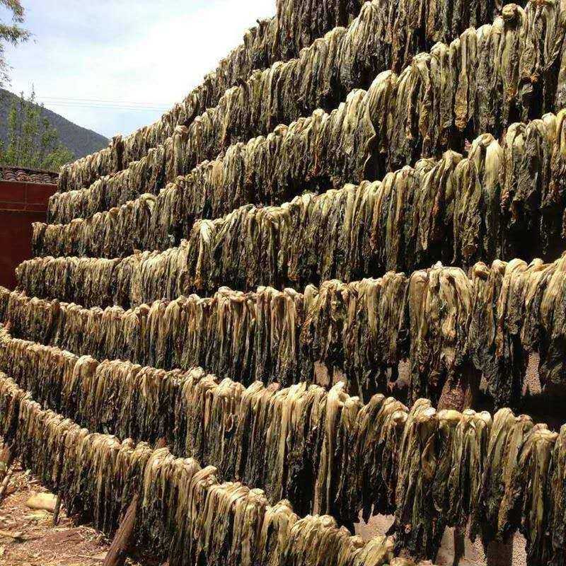 云南腌菜干金针菜干货农家自制无盐金针菜干菜金针菜扣肉干酸菜