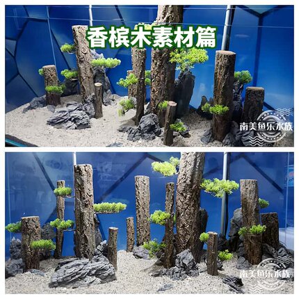 天然香槟木树干森林之歌鱼缸造景雨林缸爬宠乌龟晒台