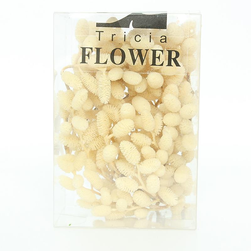 永生桑葚果永生花材花艺装饰永生花礼盒玻璃罩浮游瓶制作材料