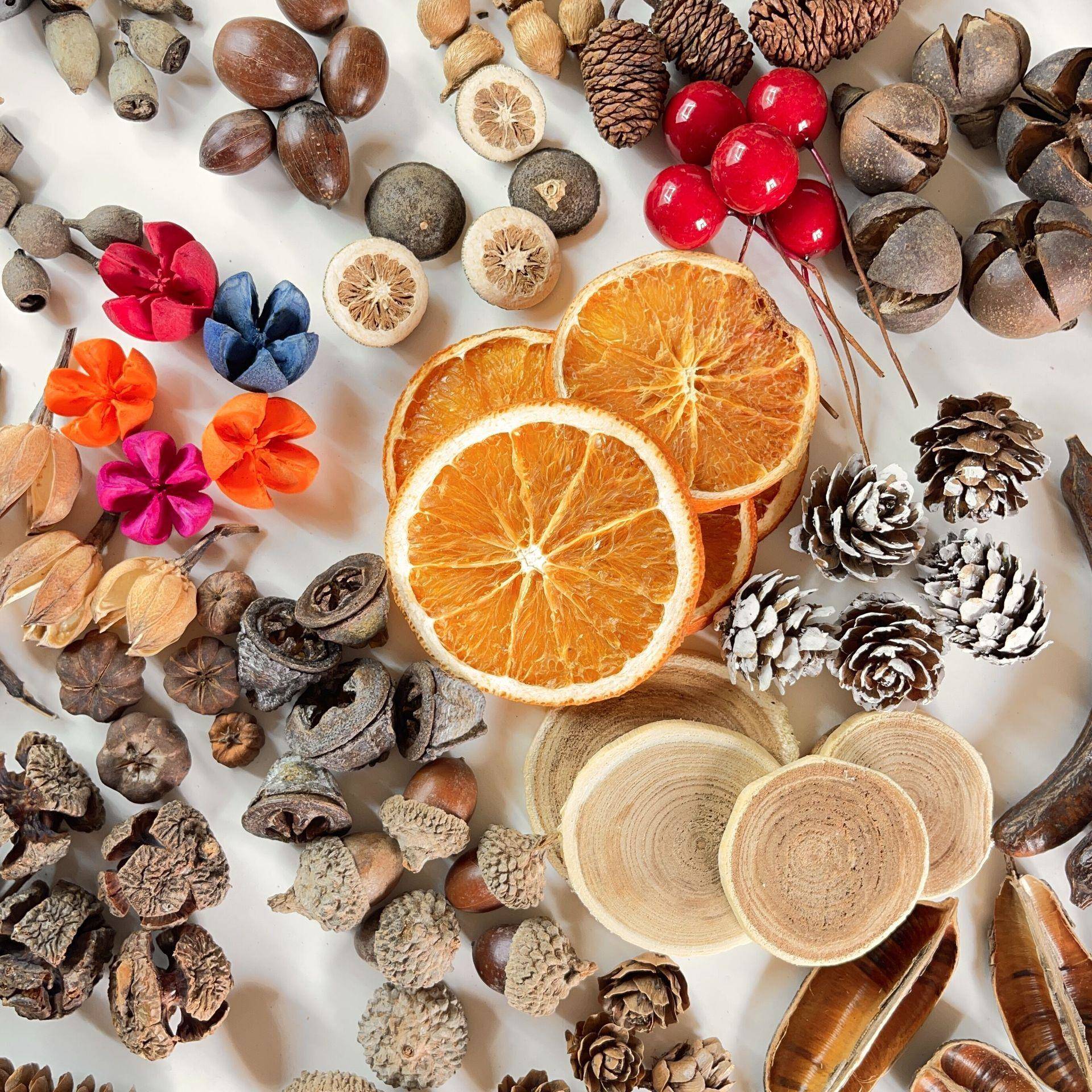 松果木片树叶干花干果自选套餐 幼儿园装饰小摆件 复古拍照道具