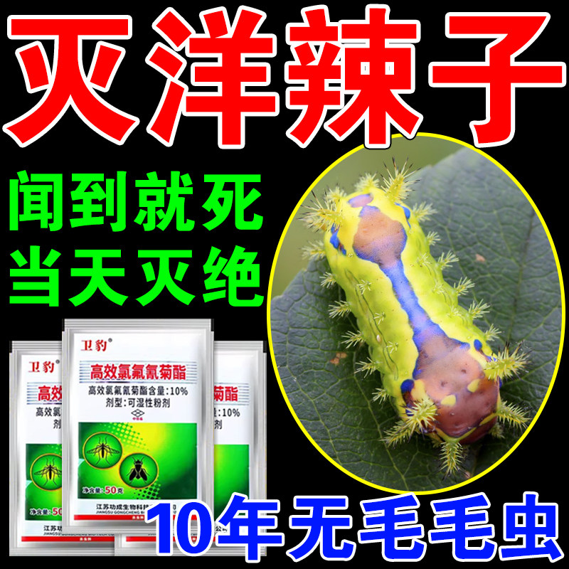 洋辣子杀虫剂专用药治洋辣子毛毛虫刺蛾菜园地除害虫无毒杀虫药粉