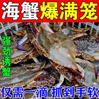 赶海抓螃蟹神器捕梭子蟹面包蟹小药钓螃蟹海蟹诱饵蟹笼强力诱食剂