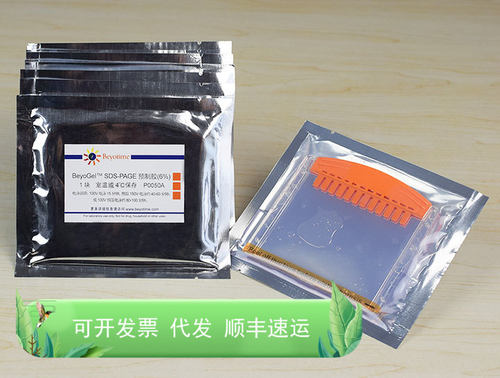 BeyoGel™ SDS-PAGE预制胶(Tris-Gly, 6%, 12孔) 碧云天生物