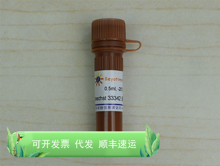 Hoechst 33342活细胞染色液(100X) C1028 碧云天生物 Beyotime