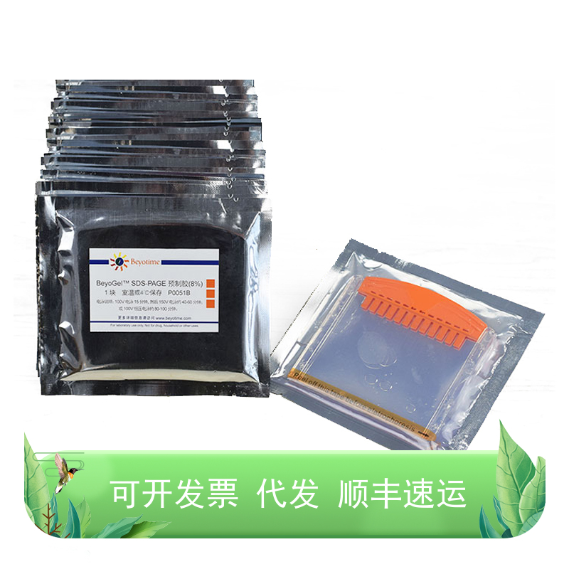 BeyoGel™ SDS-PAGE预制胶(Tris-Gly, 8%, 12孔)
