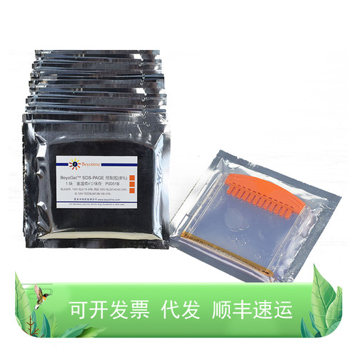 BeyoGel™ SDS-PAGE预制胶(Tris-Gly, 8%, 12孔)