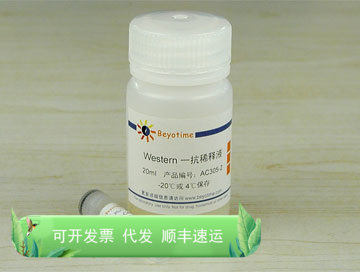Phospho-CENP-A (Ser7)抗体(兔多抗) AC305  Beyotime