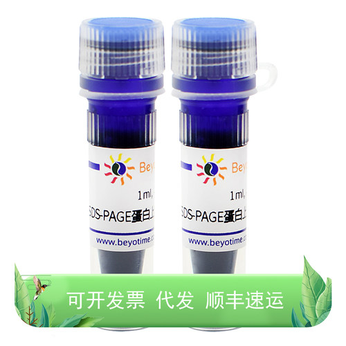 SDS-PAGE电泳液(Tris-Gly, 10X)