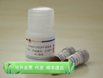 Annexin V-EGFP细胞凋亡检测试剂盒 C1067 碧云天生物 Beyotime