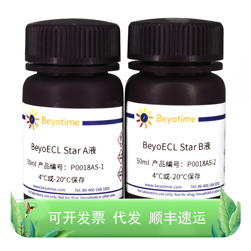 BeyoECL Star (特超敏ECL化学发光试剂盒)