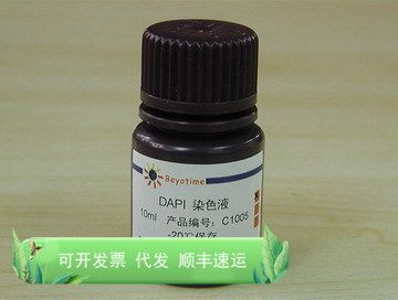 DAPI染色液 C1005 碧云天生物 Beyotime